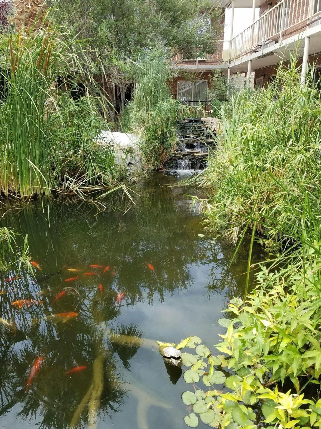 Big Chile Inn & Suites Las Cruces Ngoại thất bức ảnh